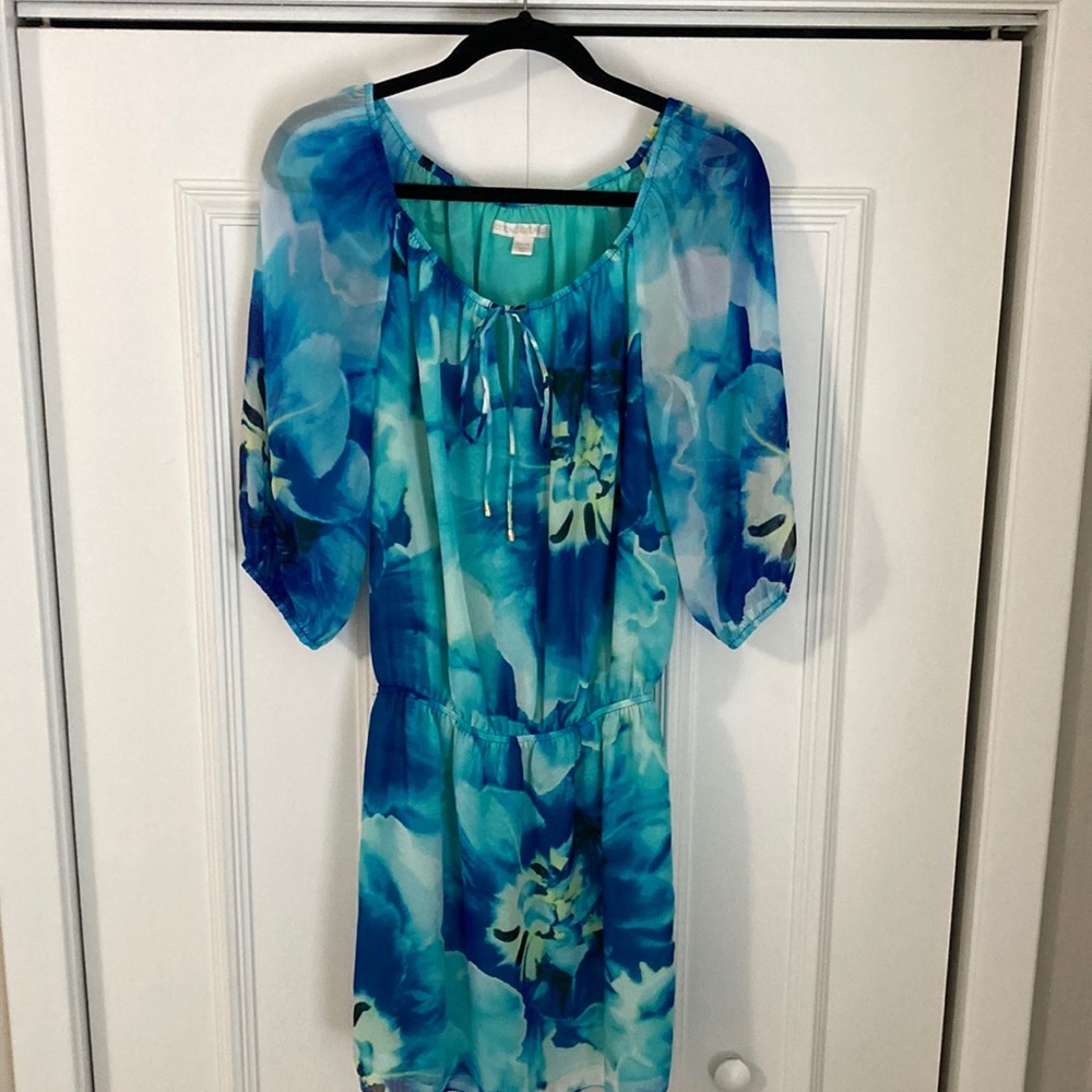 Boston Proper Floral Dress, three-quarter length elastic sleeves.